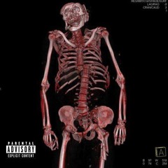 Vill-iigent - NONE( Official Audio).mp3