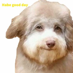 HandCrushedbyMallet With Tdog 100gecs REMIX