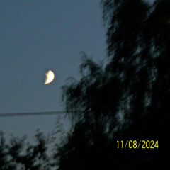 ꓫꓲꓪ‾ꓘꓘꓕ‾ꓷꓤꓧ.ogg