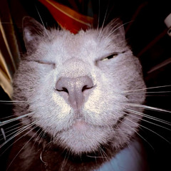 Everything Breakcore