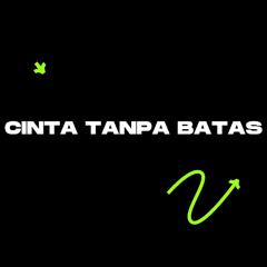 Cinta Tanpa Batas