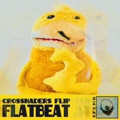 Mr Oizo - Flat Beat (Crossnaders Flip)