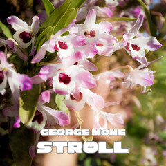 Stroll