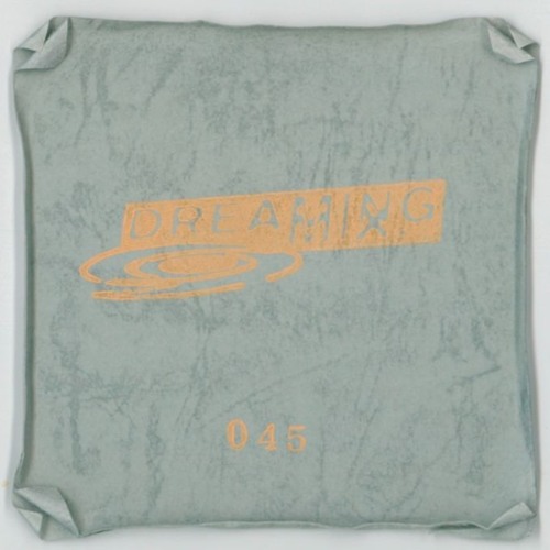 DREAMING 045 : Scott W.