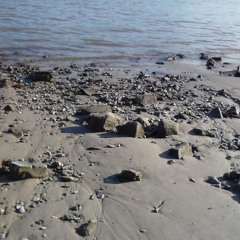 Die Atemlosigkeiten des Denkens (2014)