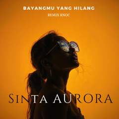 Bayangmu Yang Hilang