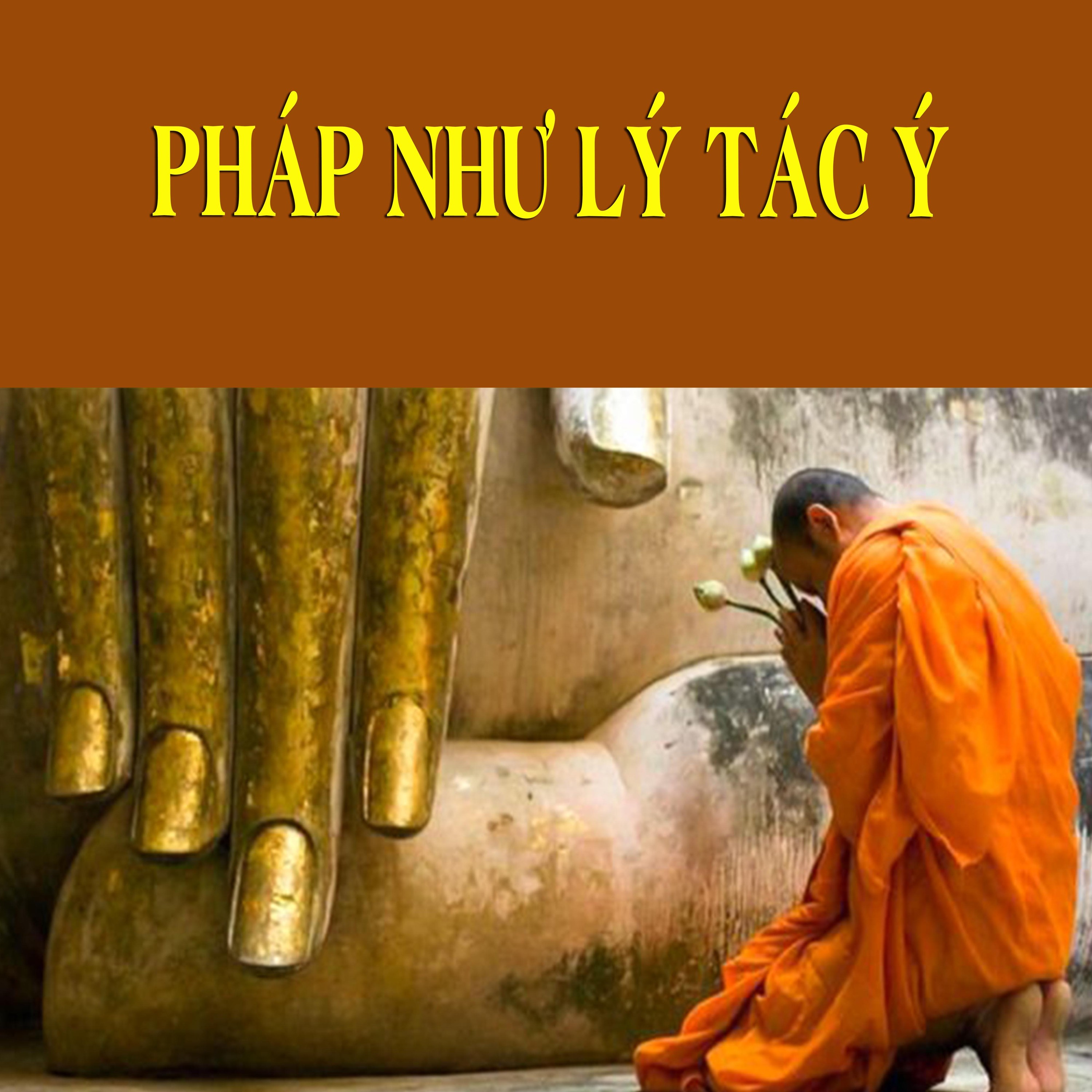 Pháp Như Lý Tác Ý episode artwork