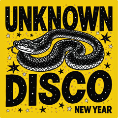 Unknown Disco - The Magic Happens