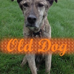 Old Dog