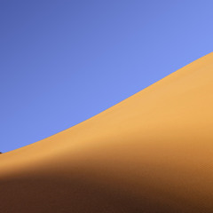 Psykolon - Desert Winds