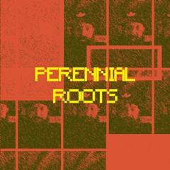 Perennial Roots
