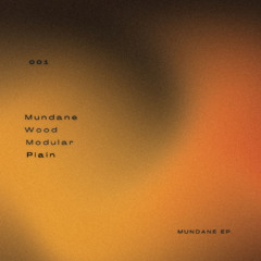 Unbekannt - Plain (Original Mix)