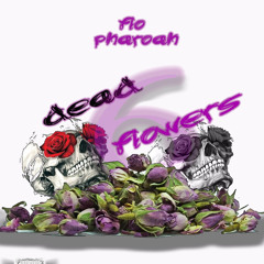 Dead Flowers