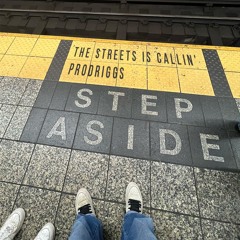 The streets is callin' (Hail! remix by ProdRiggs)