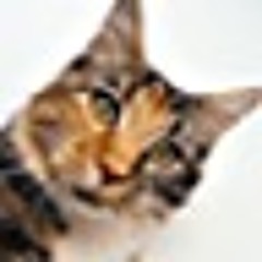 Fuck All July5-16 Oct-13-2021