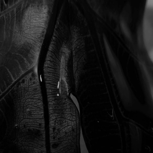 Chriz.jae - Rain [Artaphine Premiere]