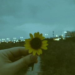 tormenta - boyblue