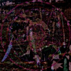 GXNER - NOCTURNAL (PROD. LIVING RAGE)