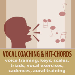 Cadenza G Minor, T-Sd-D, 1-4-5, All Positions for Pitch Practice, Aural Training
