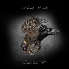Lander B - Acid Punk(Original Mix)