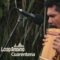 LOOP ANDINO // Cuarentena