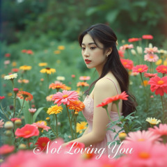 Not Loving You