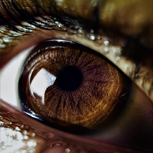 Iris (Slowed + Reverb + Bass Boosted + Muffled + 8D Audio + Best Part) - Pastel Ghost