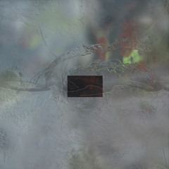 Liquid Reality