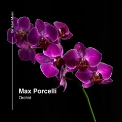 Max Porcelli - Orchid (Remix) [Out 3rd Feb 2025]