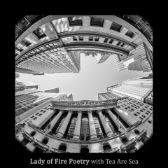 Crimes Against Humanity (TRC Remix) by Lady of Fire Poetry
