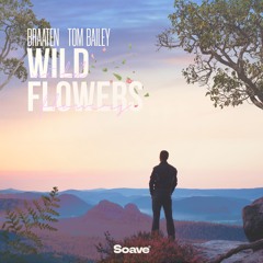 Braaten & Tom Bailey - Wild Flowers