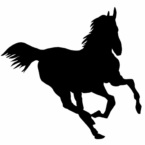 Gallop