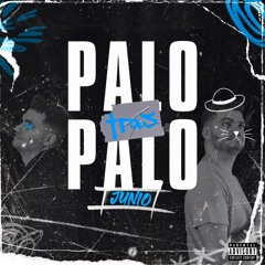 Palo Tras Palo Junio 2k24