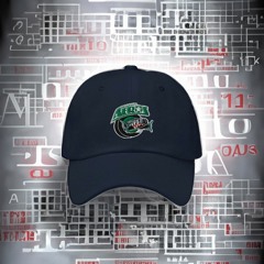 Houston Aeros Logo Hat