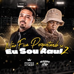 NAO FICA PERGUNTANDO SE EU SOU RAUL 2