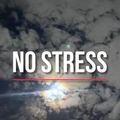 No stress (feat. lil mike)