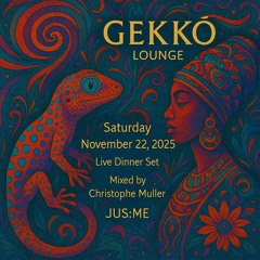 Gekko-miami-dinner-set-11-22-25