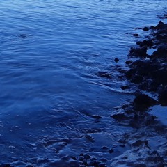 Society (Alice Phoebe Lou cover) [2021]