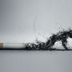 The Human Condition