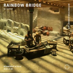rainbow bridge w/ shrimp 02.02