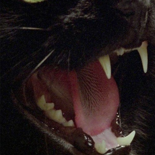 arrrrrrrhhhhhh
