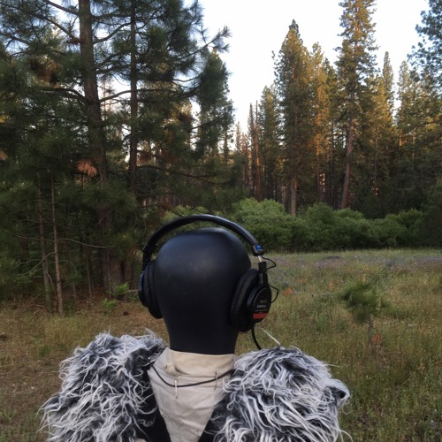 Yosemite Ackerson Meadow Spring Dawn Chorus 2020