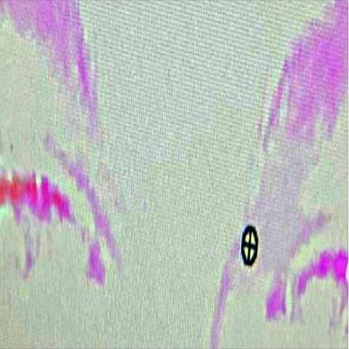 shedontknow - giveafuck