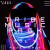 Download Video: Tribe Music Pack Vol. 5 (Roger Grey) 2024 Demo