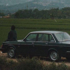 car in the field
