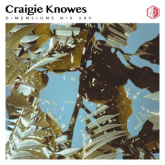 DIM289 - Craigie Knowes