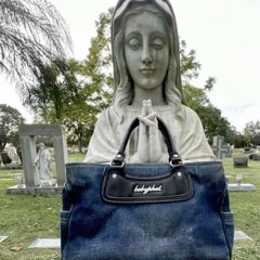 hilton (h8fake) — v22