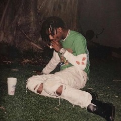 Playboi Carti - Butterfly Doors [Prod. Icy Chill Out] [Remix]