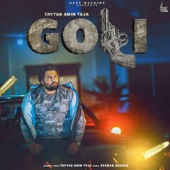 Goli (HQ Audio) Tayyab Amin Teja I Seemab Arshad | Latest Punjabi Songs 2021| Teja | Geet Mchine |