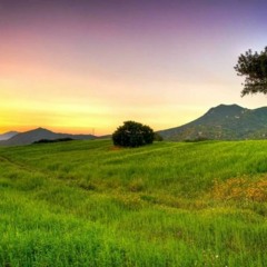 Aeler00036 royalty free background music DOWNLOAD